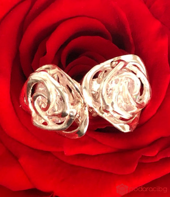 Silver set rose with earrings and necklace