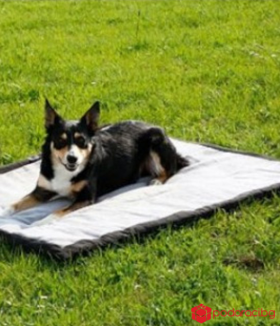 Одеало за куче Trip 140х100х4см