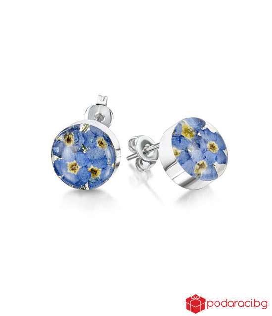 Кръгли сребърни обици с истинска незабравка