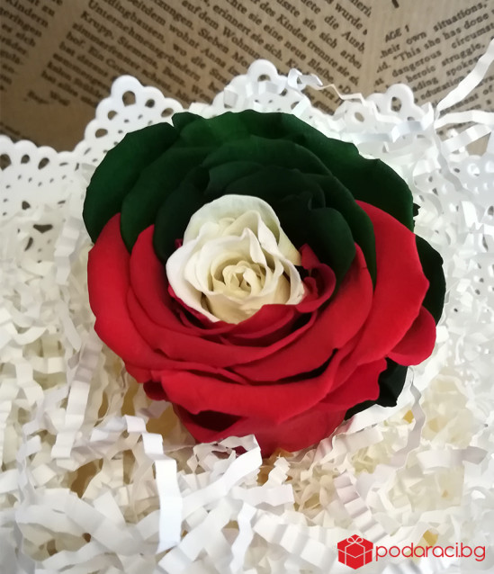 Вечна роза България във винтидж кашпа