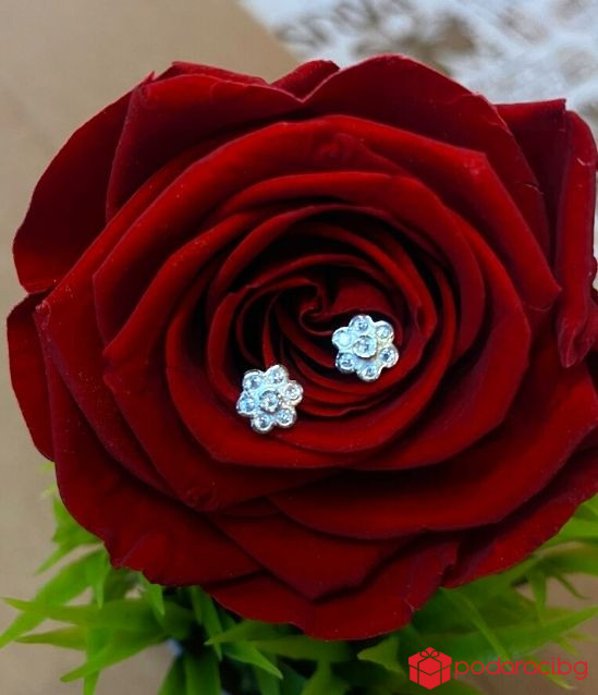 Сребърни обеци Цветенца с циркони