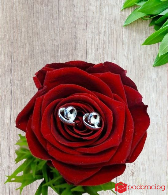 Сребърни обеци Сърчица