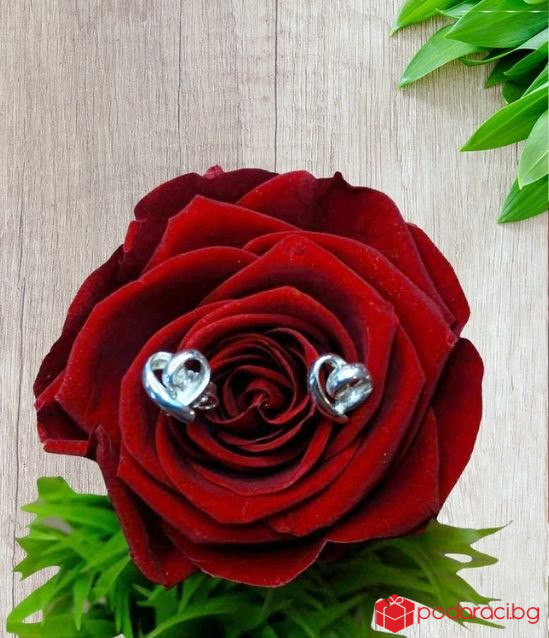 Сребърни обеци Сърчица