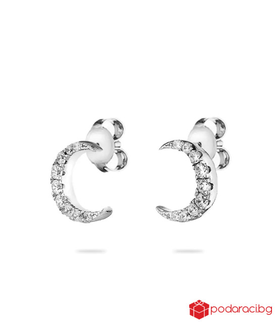 Сребърни обици луна