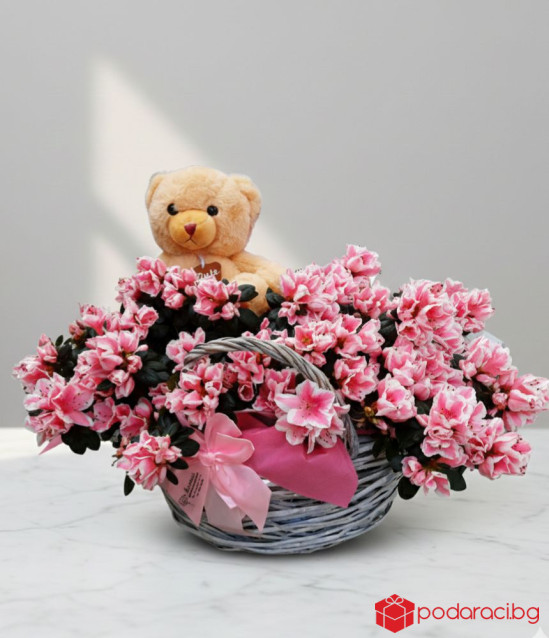 Кошница с мече и азалии