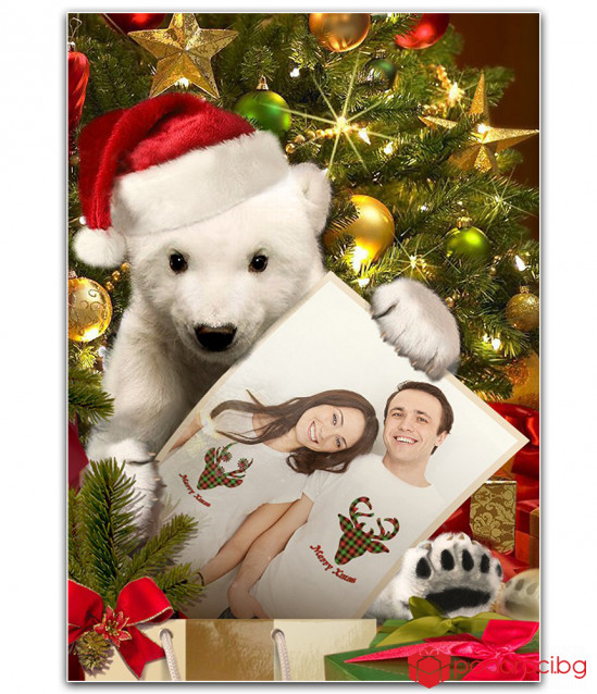 Коледен колаж Бяла мечка