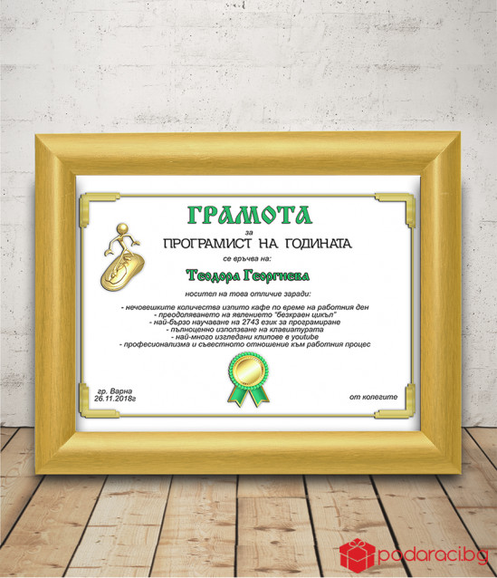 Diploma for programmer with a gift frame
