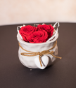 Mini pot with red eternal roses for Beloved woman