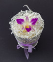 Истинска орхидея във винтидж кашпа