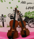 Violin lesson for two in Sofia