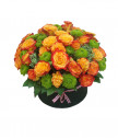 Кутия с оранжеви мини розички и зелена хризантема
