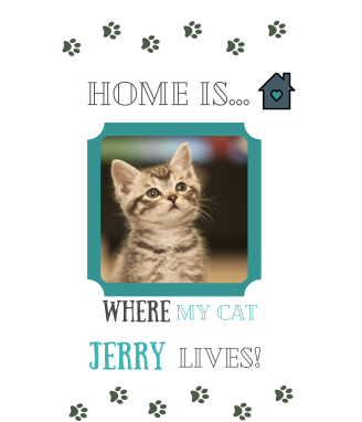 Колаж в рамка Home is where my cat lives