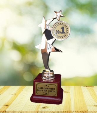 Купа звезда за най-добрия брат на света