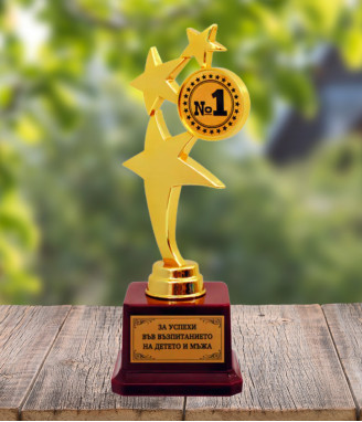 Купа звезда за успехи във възпитанието на детето и мъжа