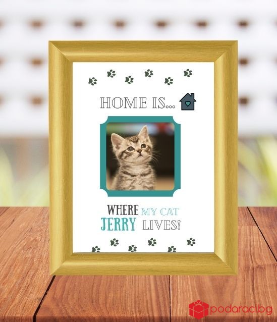 Колаж в рамка Home is where my cat lives
