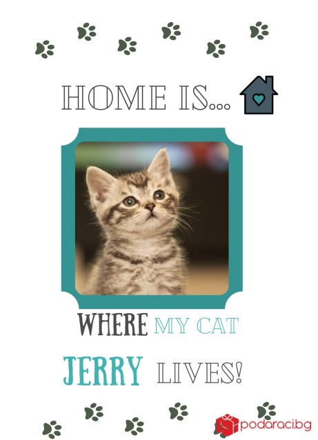 Колаж в рамка Home is where my cat lives