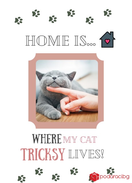Колаж в рамка Home is where my cat lives