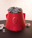 Подаръчна кутия за дамите Red & Silver