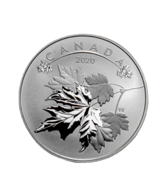 Сребърна монета Кленов лист 2020, 1/2 Oz
